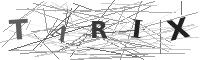 Please refresh your browser to see this image.